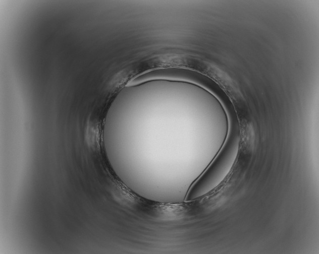 X0000116860333200912291305