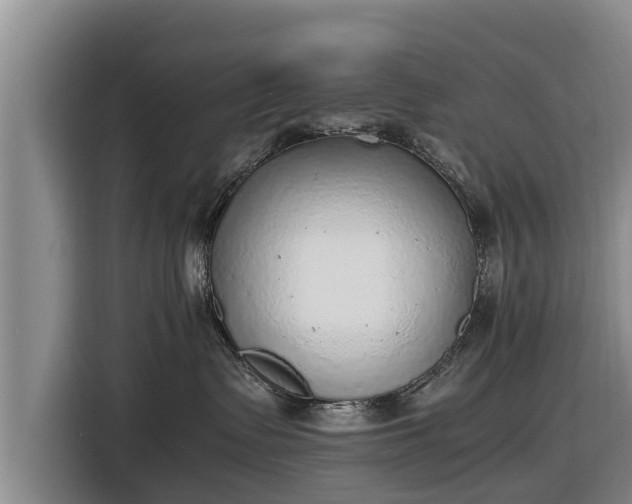 X0000116860335200912291305