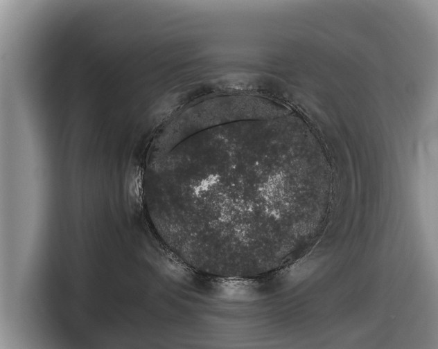 X0000116860336200912291305