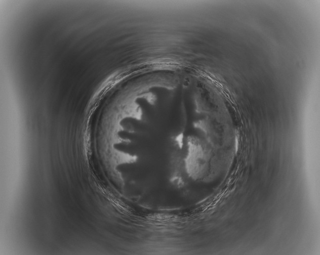 X0000116860339200912291304