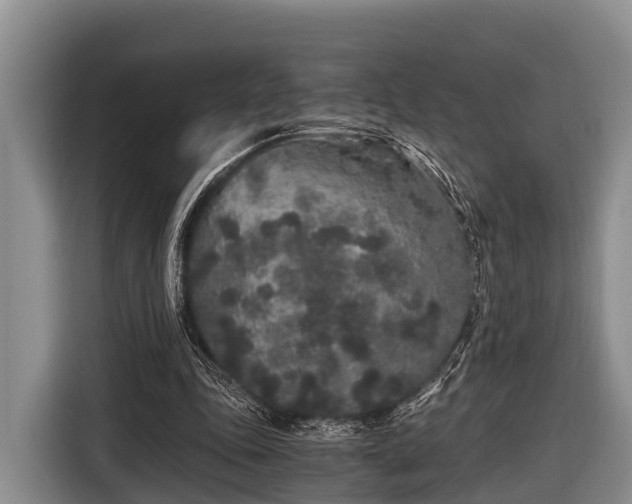 X0000116860343200912291304