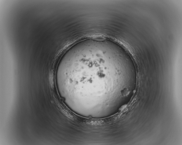 X0000116860345200912291304