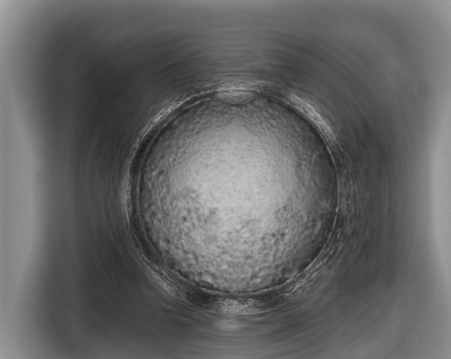 X0000116860346200912291304