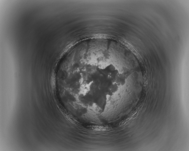 X0000116860347200912291304