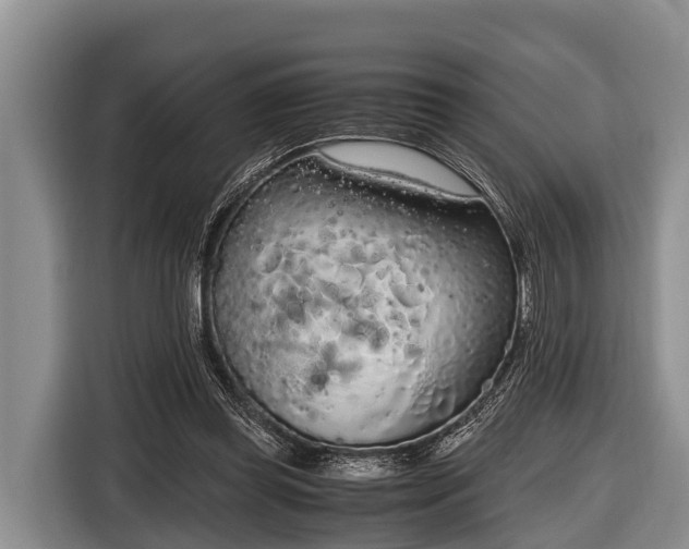 X0000116860349200912291304