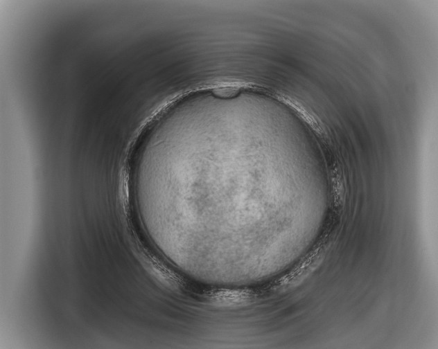 X0000116860350200912291304