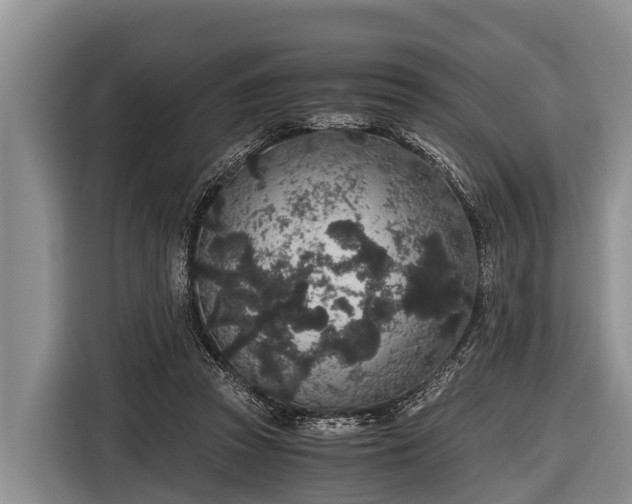 X0000116860353200912291304