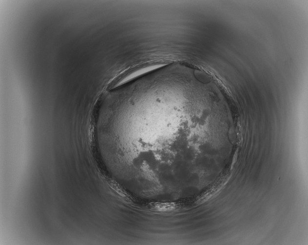 X0000116860355200912291304