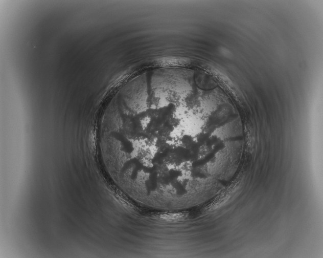 X0000116860357200912291304