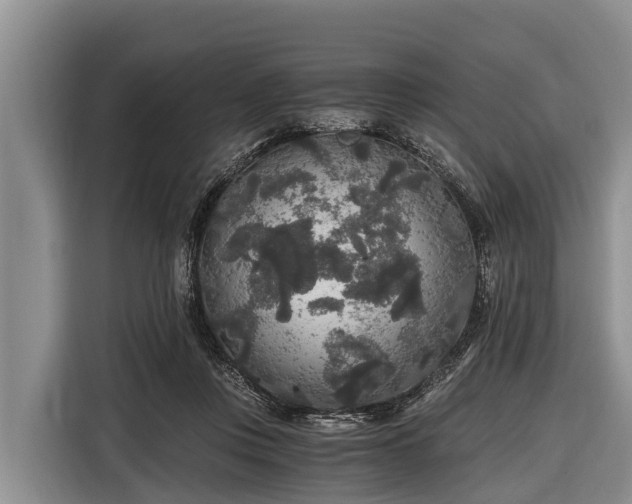 X0000116860359200912291304