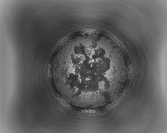 X0000116860361200912291304