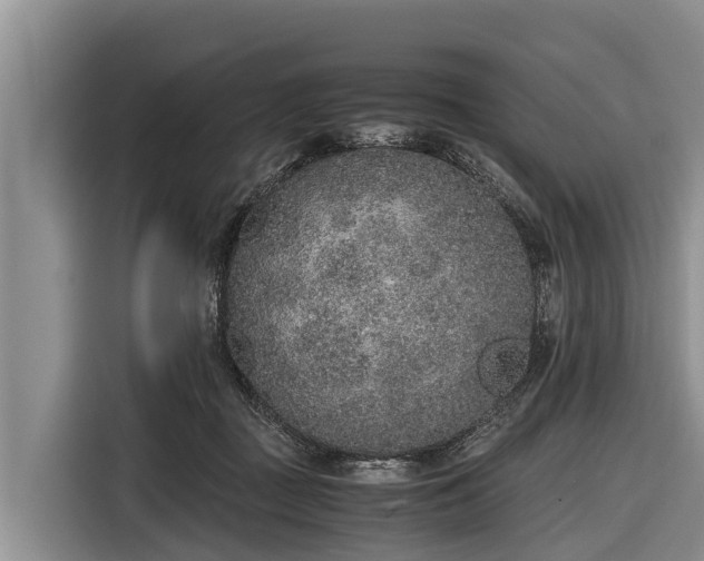 X0000116860363200912291304