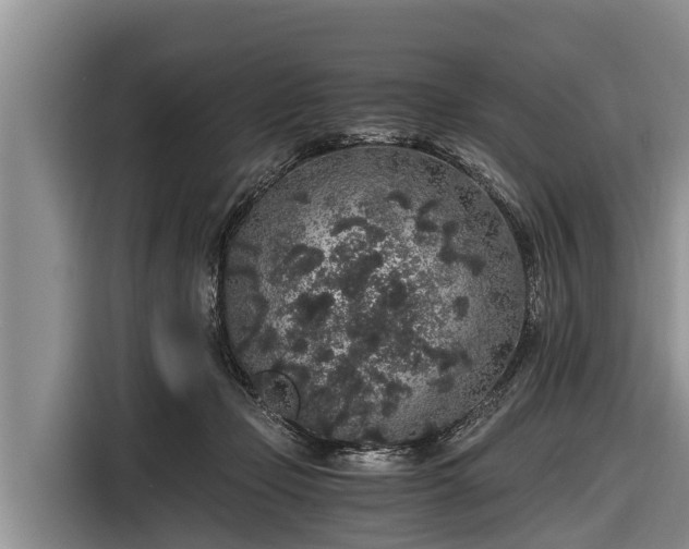 X0000116860365200912291304