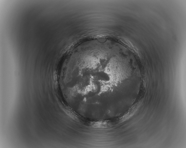 X0000116860366200912291304