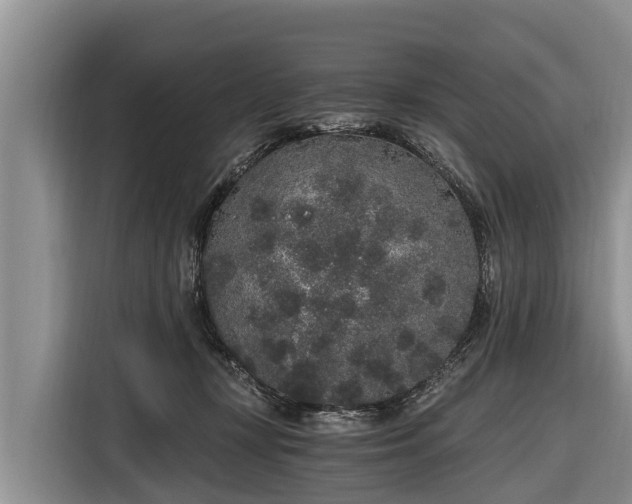 X0000116860367200912291304