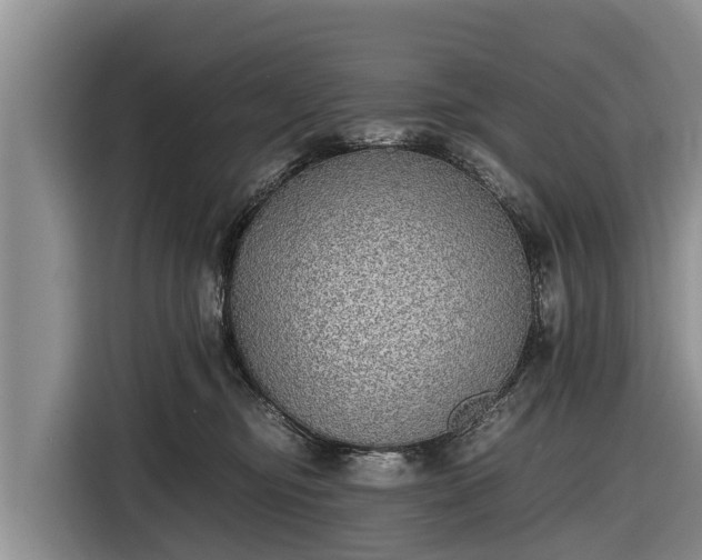 X0000116860374200912291304