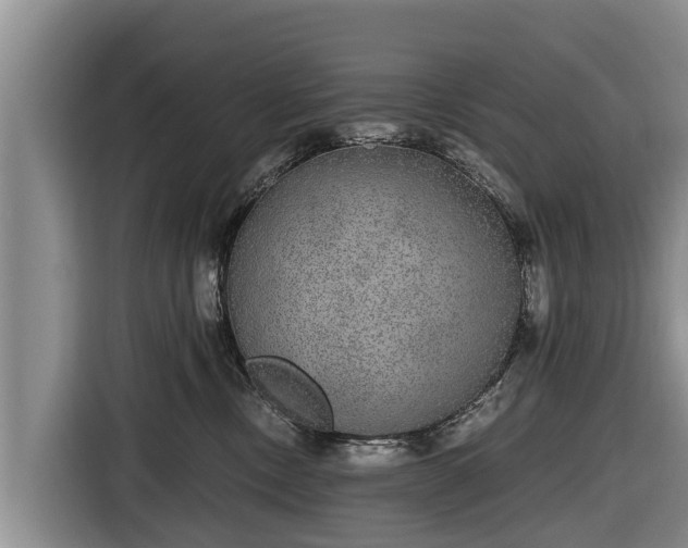 X0000116860378200912291304