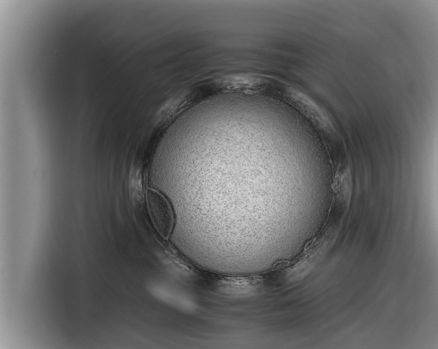 X0000116860381200912291304