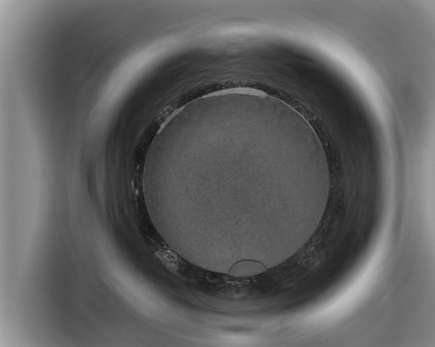 X0000116860382200912291304