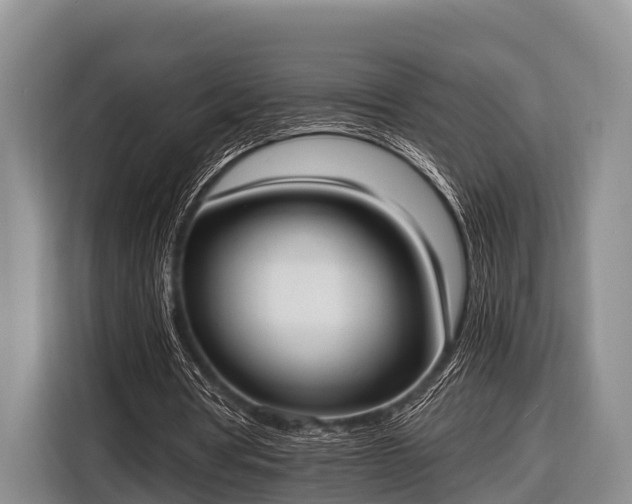 X0000116860386200912291304