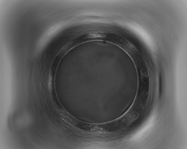 X0000116860387200912291304