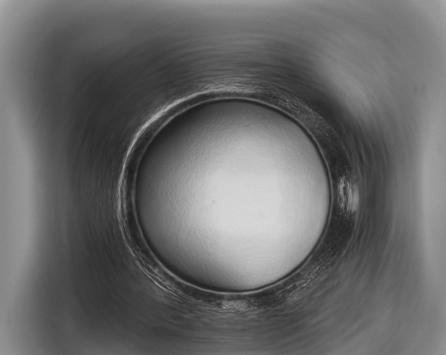 X0000116860388200912291304