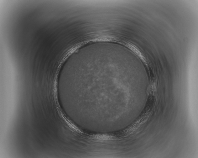 X0000116860389200912291304