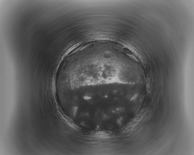 X0000116860390200912291304