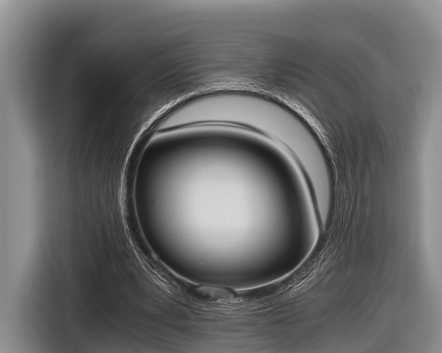 X0000116860391200912291304