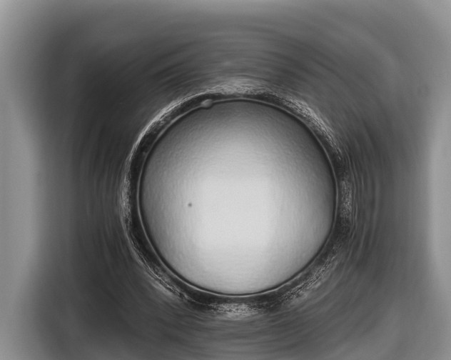 X0000116860392200912291304