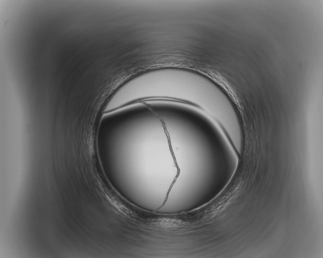 X0000116860393200912291304