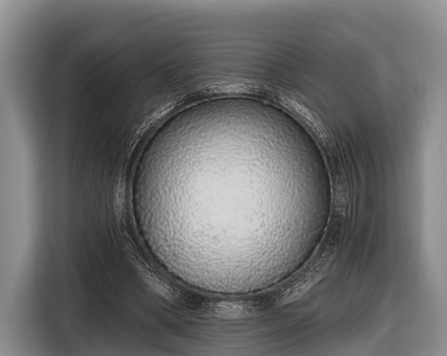 X0000116860394200912291304