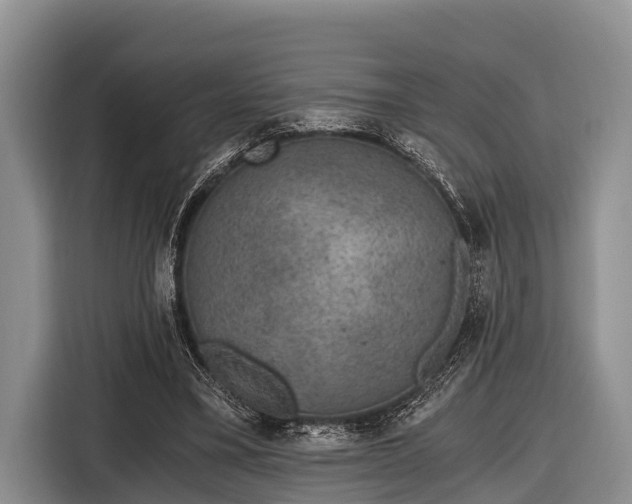 X0000116860395200912291304