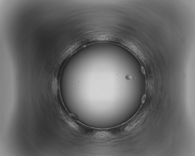 X0000116860397200912291304