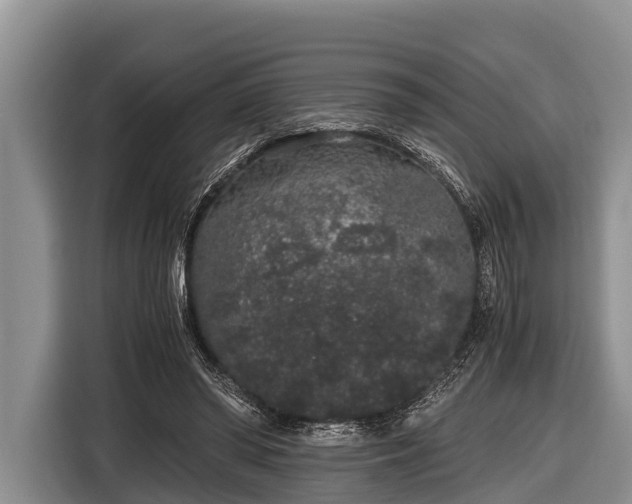 X0000116860398200912291304