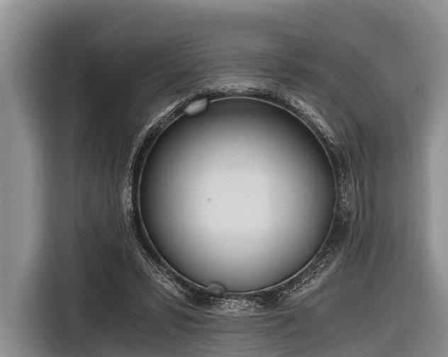 X0000116860399200912291304