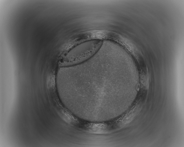 X0000116860401200912291304