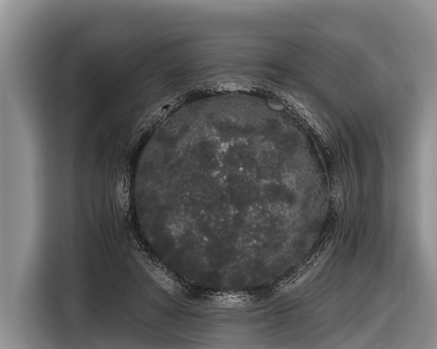 X0000116860402200912291304