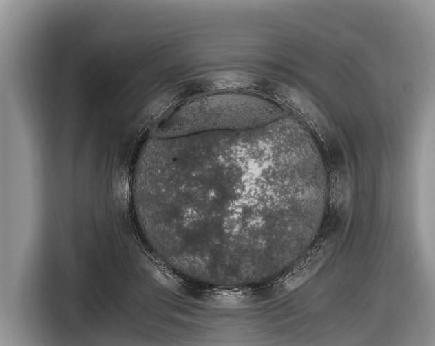 X0000116860405200912291304