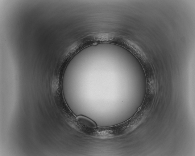 X0000116860407200912291304