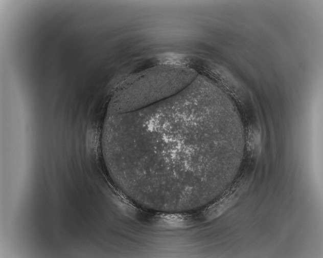 X0000116860409200912291304