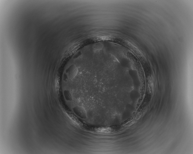 X0000116860410200912291304