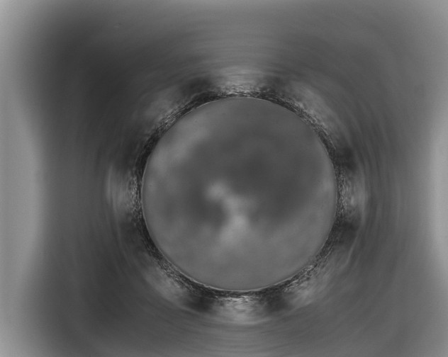 X0000116860411200912291304