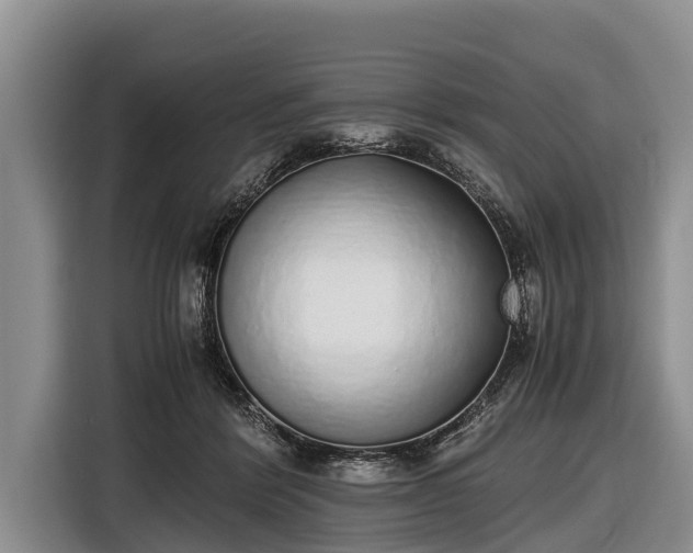 X0000116860412200912291304