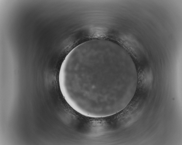 X0000116860415200912291304