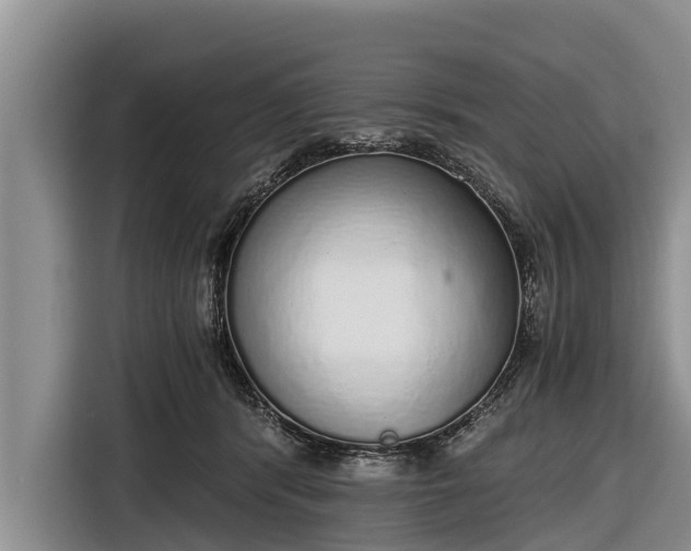 X0000116860416200912291304