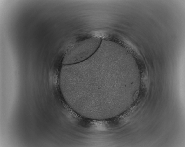 X0000116860417200912291303