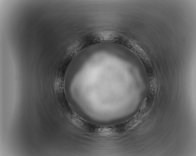 X0000116860419200912291303