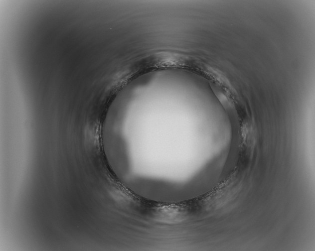 X0000116860423200912291303