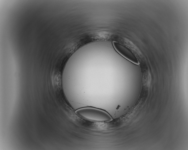 X0000116860425200912291303